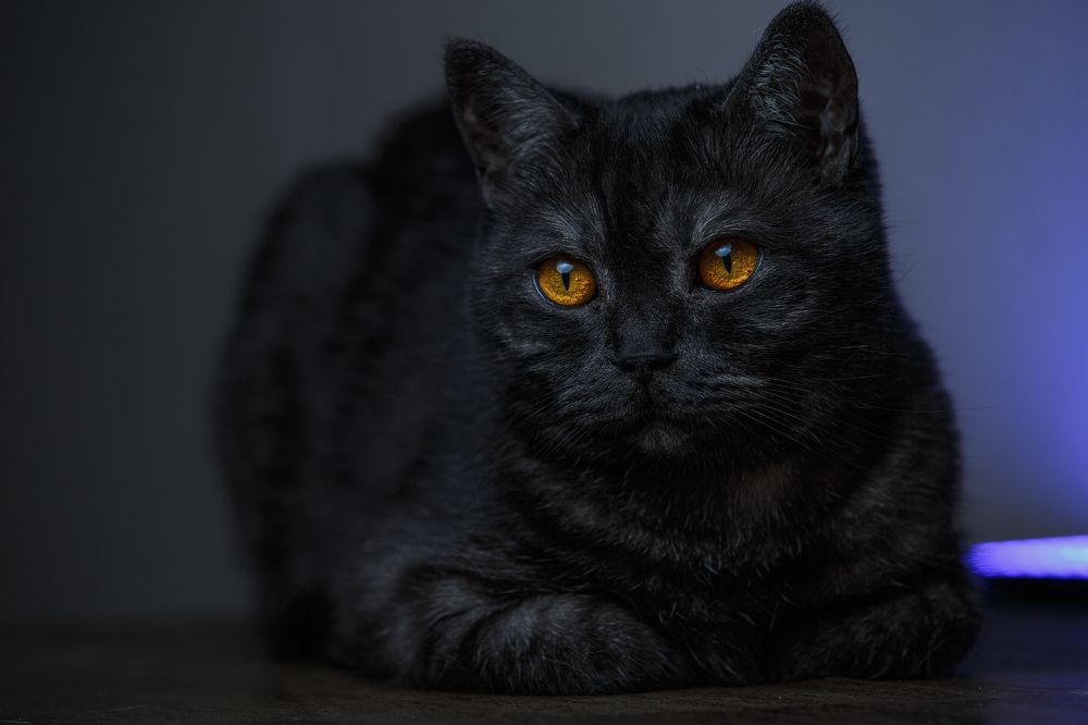 Photograph by Ольга Рябчикова