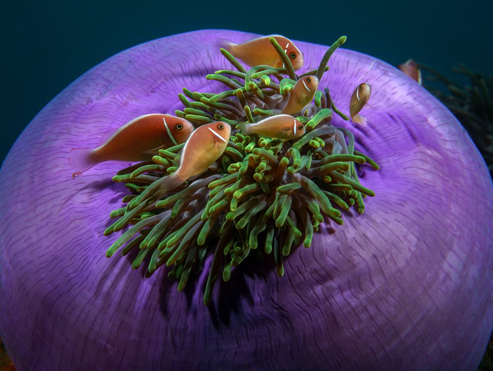 Photograph by Савин Андрей