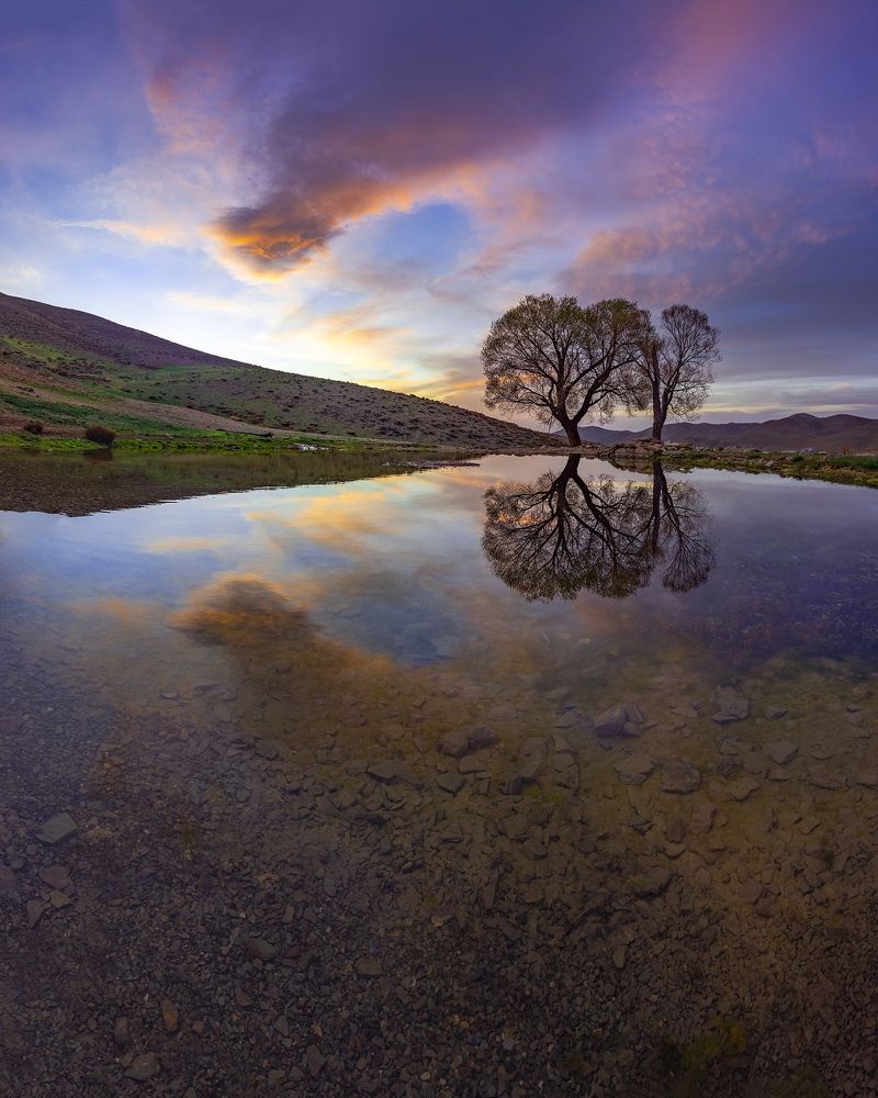 Фотография автора majid arab