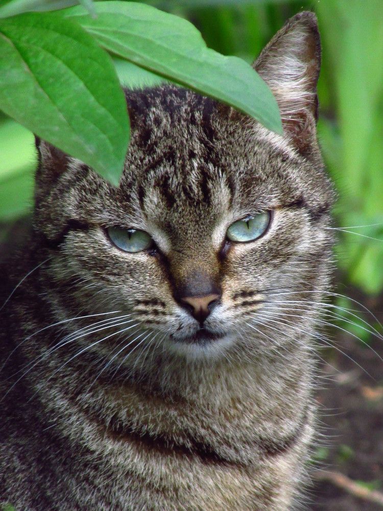 Photograph by Лысых Галина