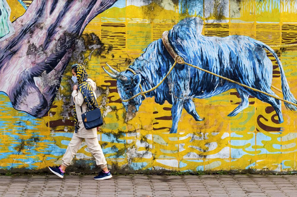 Photograph by Amirhossein Yousefi Keysari