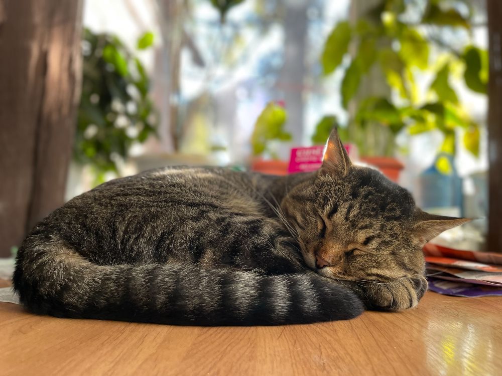 Photograph by Константин Павленко