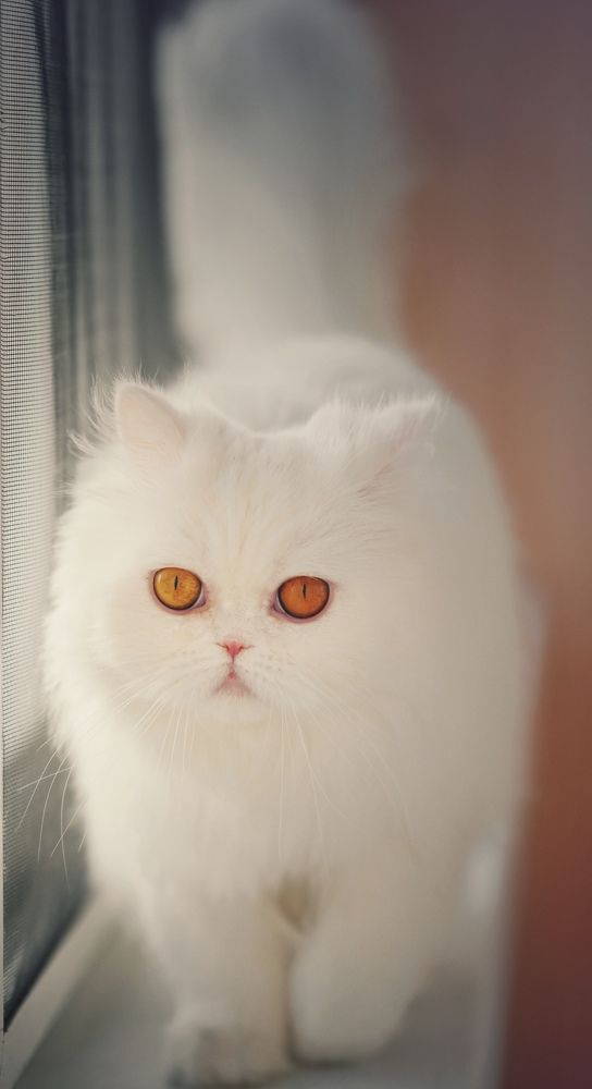 Photograph by Анастасия Волкова