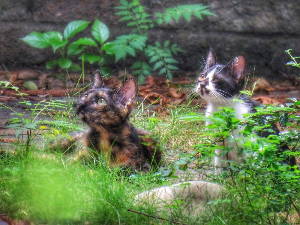 What are you looking at?