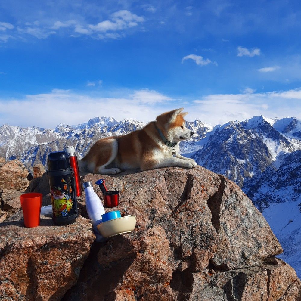 Отдых в горах