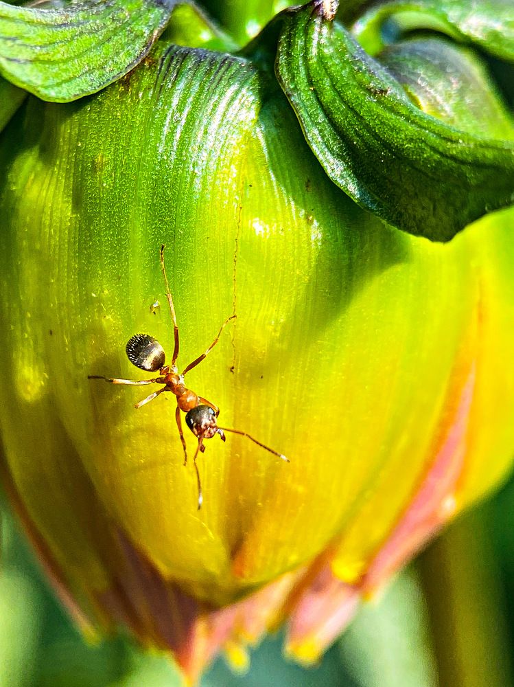 Photograph by Александра Гонтарь