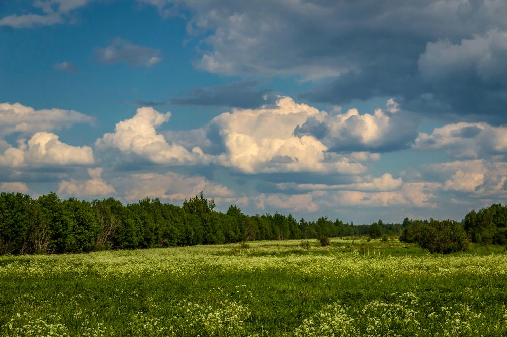 Photograph by Игорь Сидун