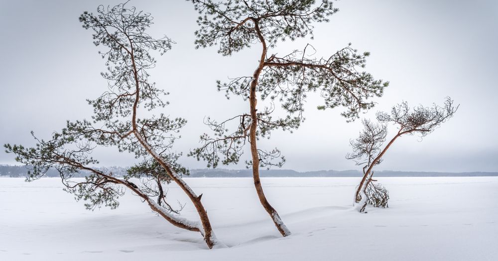 Photograph by Евгений Волосков