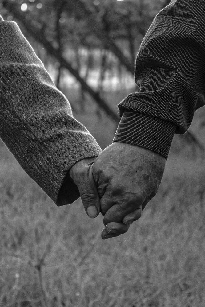 Фотография автора Iara krisna Puntel da Silva