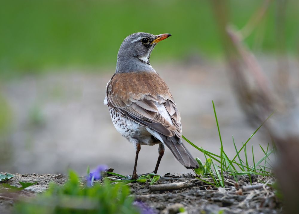 Photograph by Александр Перегудов