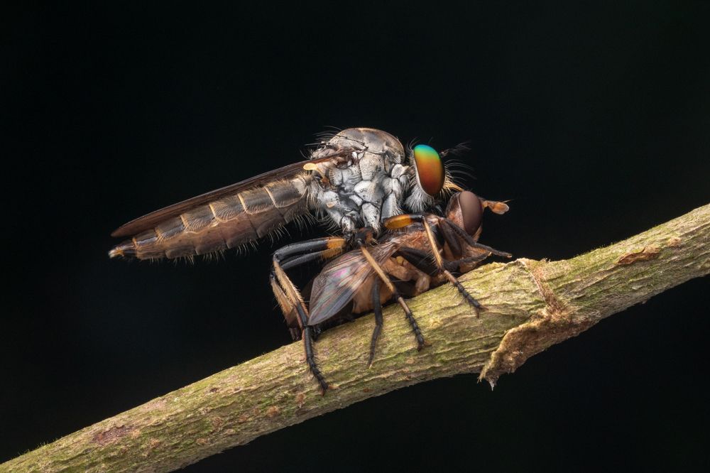 Photograph by Nicholas Ng