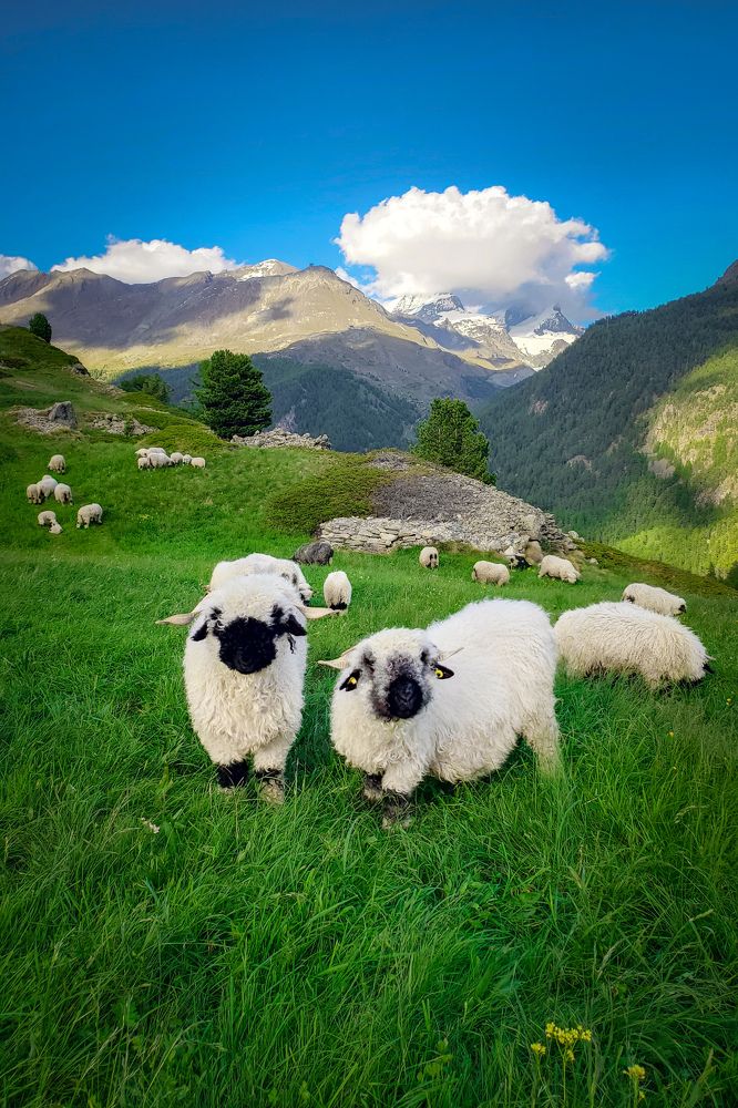 Photograph by Tatsiana Volskaya