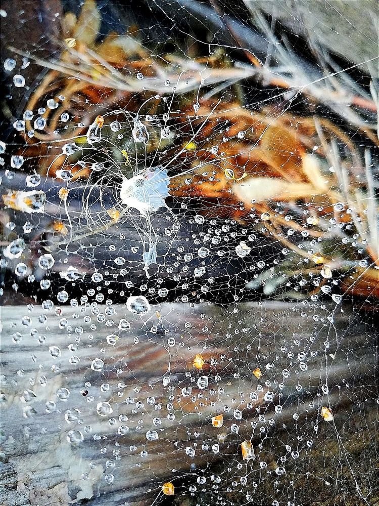 Photograph by Galina Novichkova