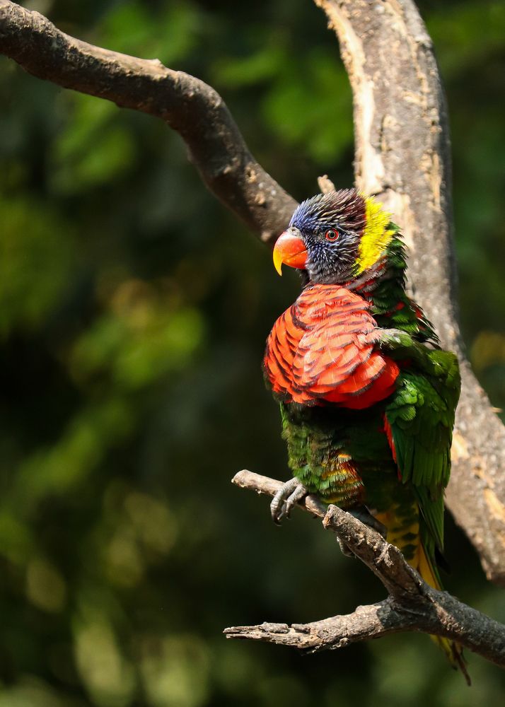 Photograph by RITVIK BHARDWAJ