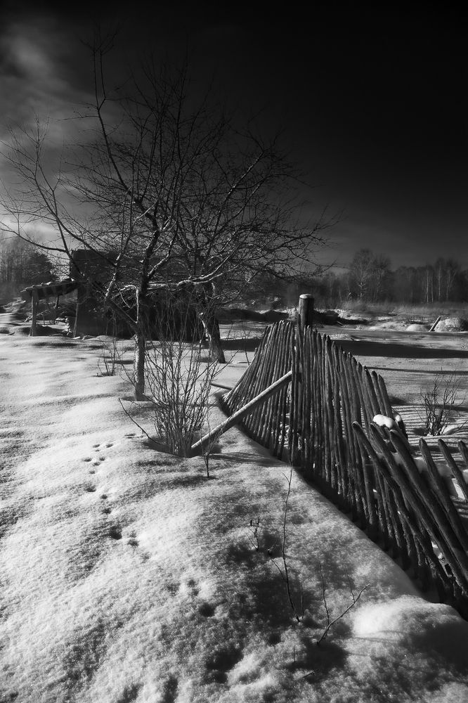 Photograph by Ершов Сергей