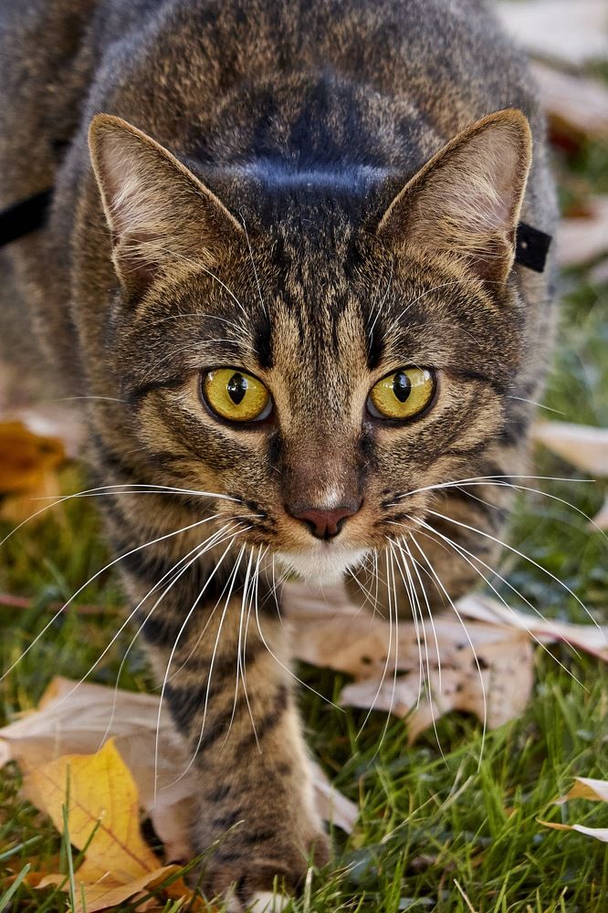 Photograph by Татьяна Полянская