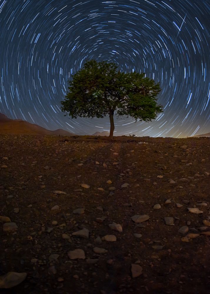 Photograph by majid arab