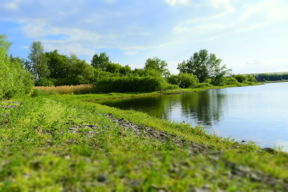 Photograph by Екатерина Скоропадова