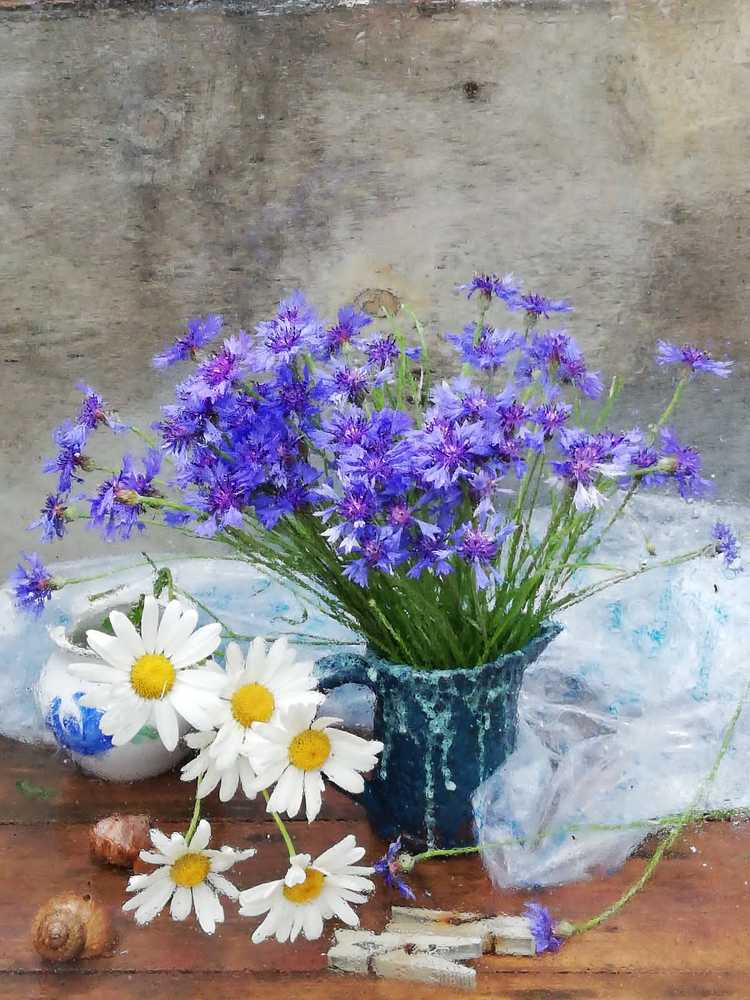 Photograph by Galina Novichkova