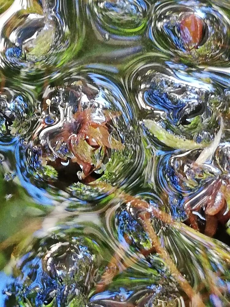 Photograph by Galina Novichkova