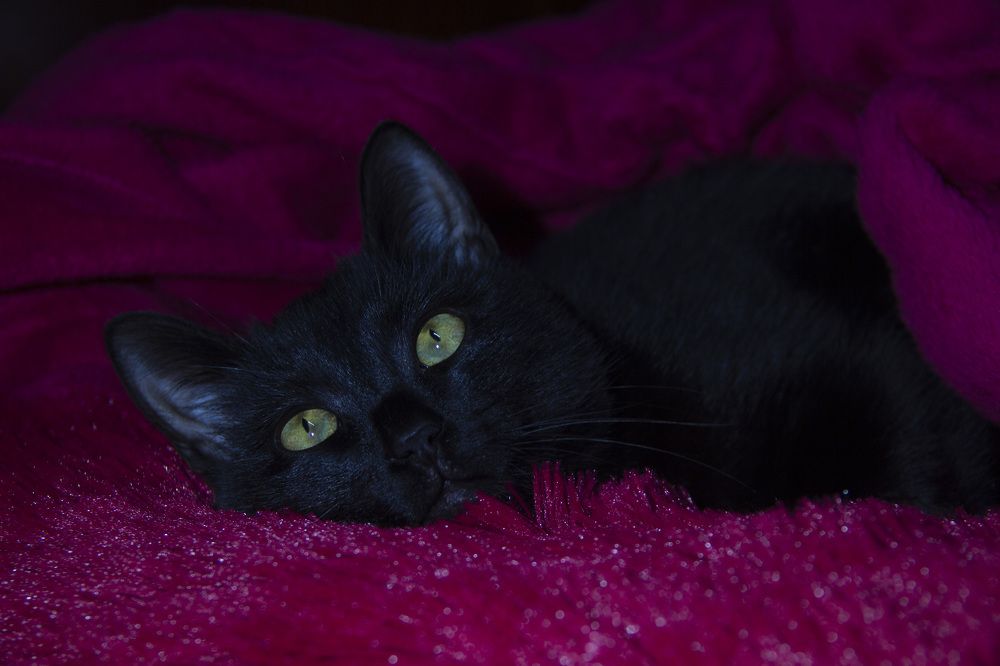 Photograph by Алёна Дёмочкина