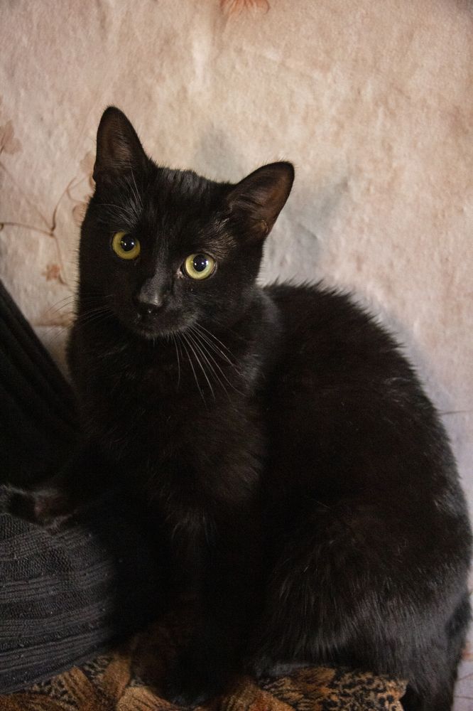 Photograph by Алёна Дёмочкина