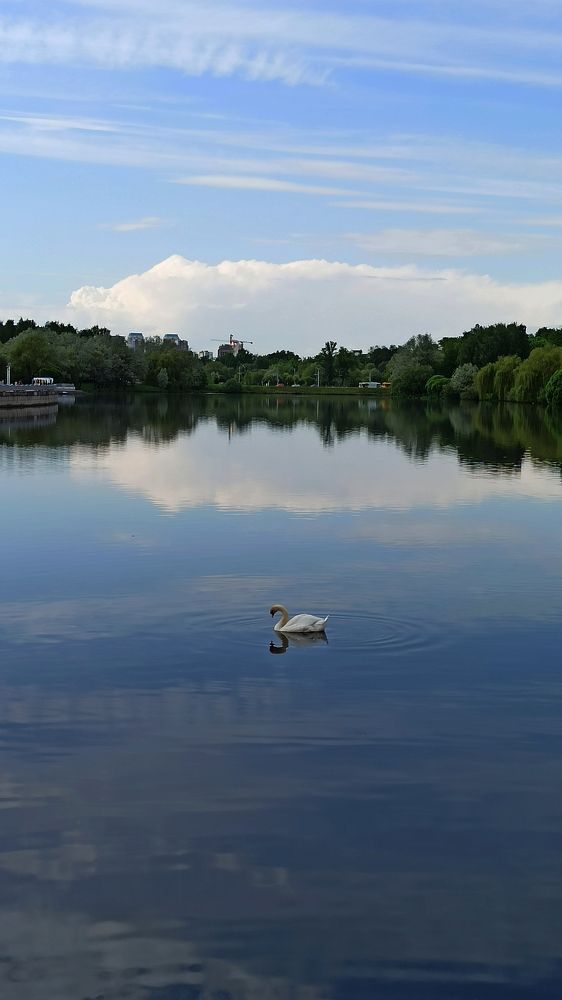 Photograph by Людмила Щуцкая