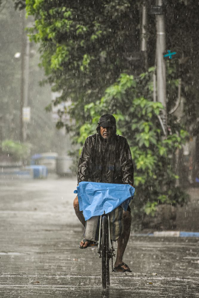 Фотография автора ANKIT GHOSH