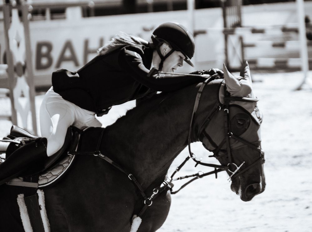 Photograph by Регина Сова