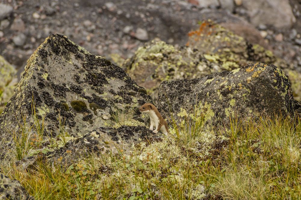 Photograph by Игорь Сидун