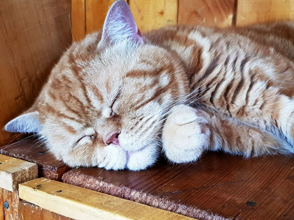 Photograph by TATIANA MASYCHEVA