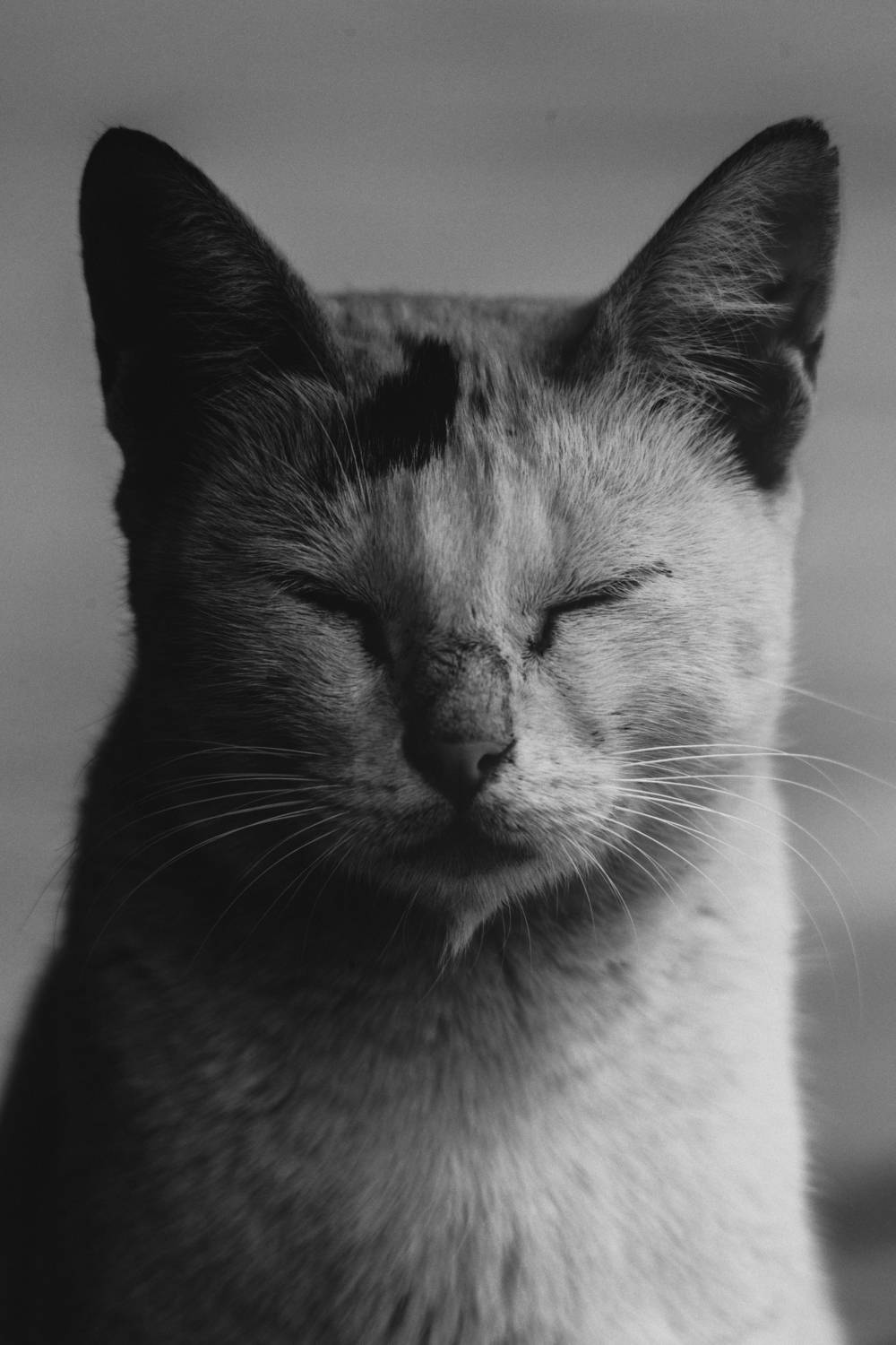 Фотография #8812553