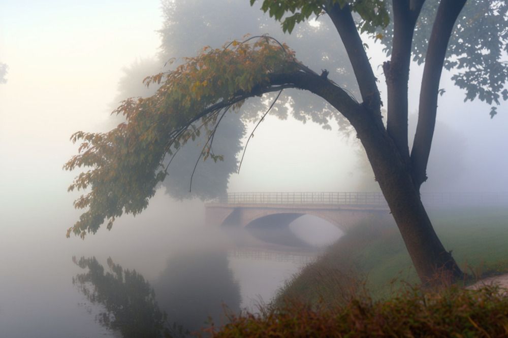 Photograph by Андрей Трубачев
