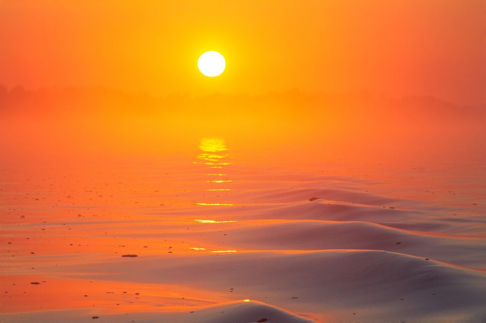 Photograph by Алексей