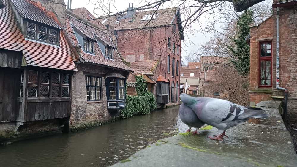 Photograph by Войцеховская елена