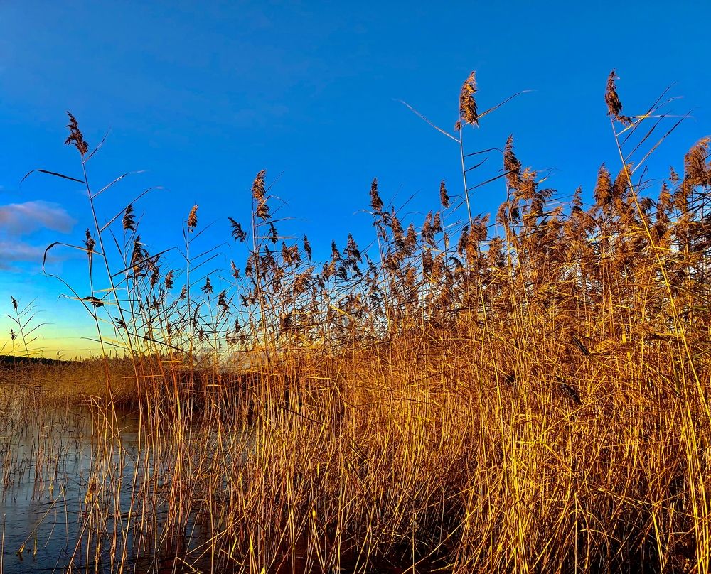 Photograph by Олеся Семенова