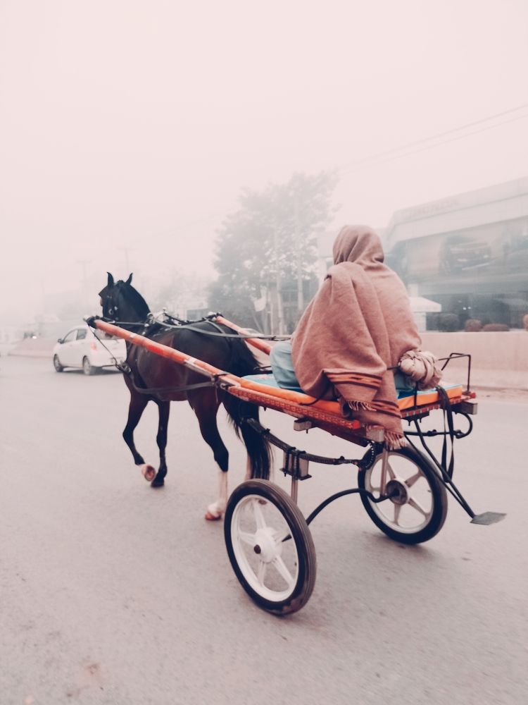 Photograph by Abdul samad