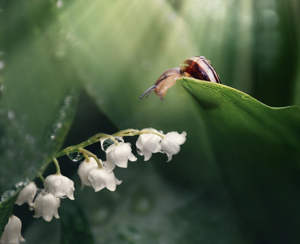 Photograph by Наталья Быстрая