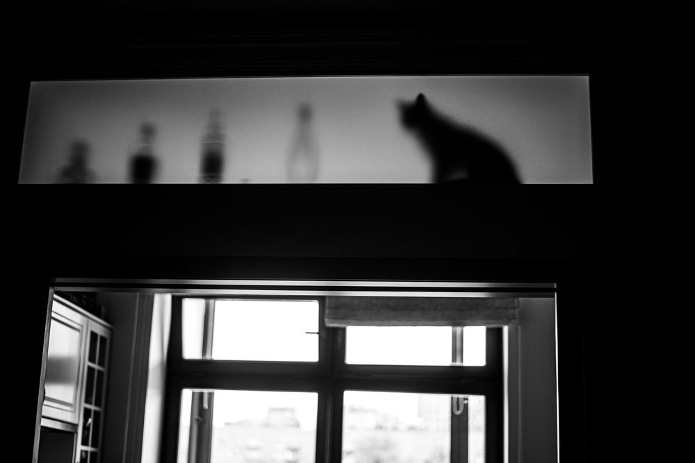 Photograph by Lisa Buzova