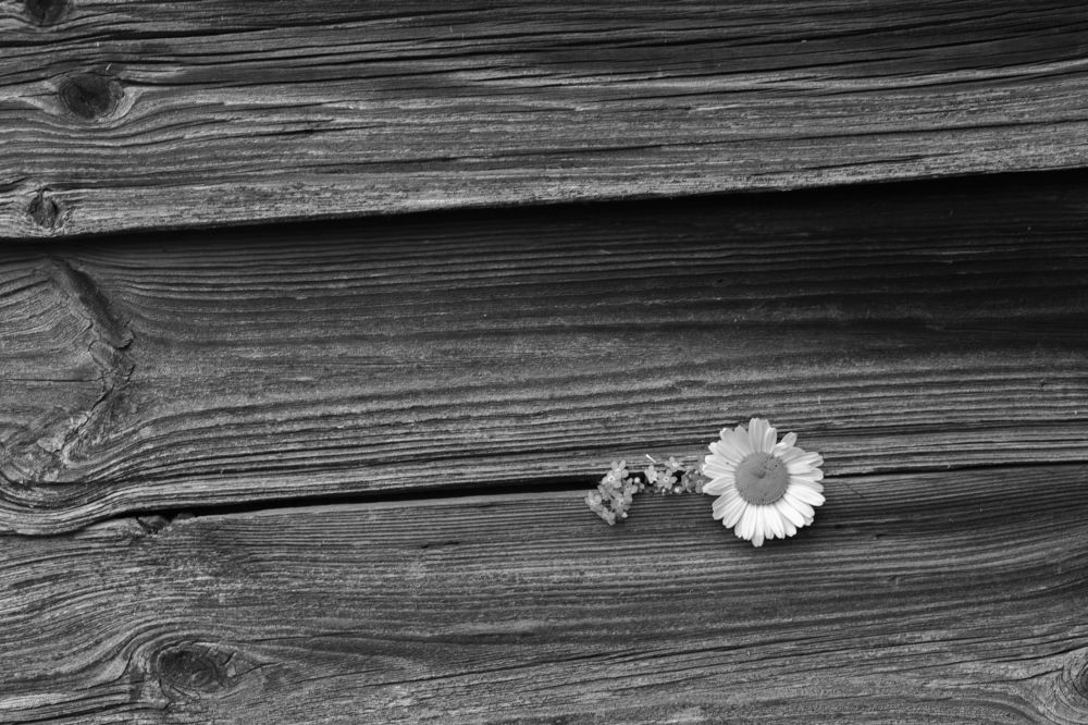 Фотография автора Вадим Лабитов