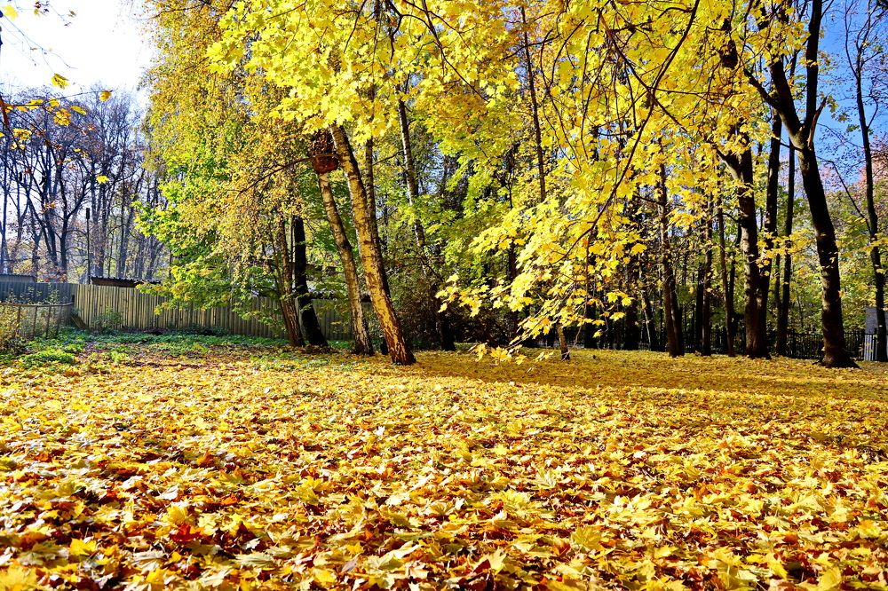 Photograph by Игорь Мезенцев