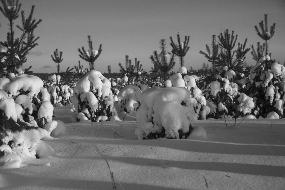 Фотография автора Вадим Лабитов