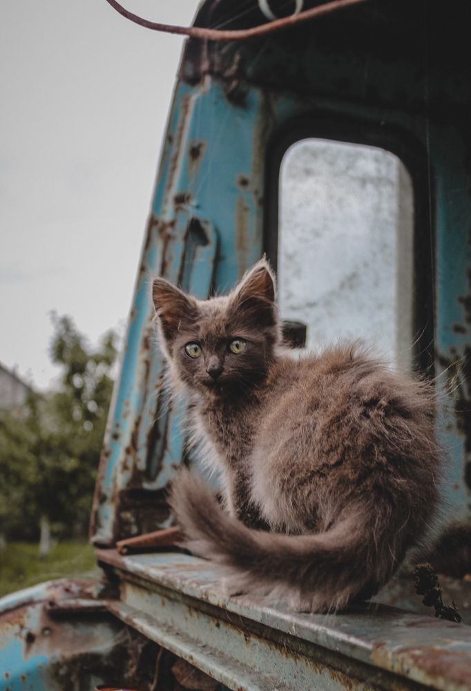 Photograph by Диана Козел