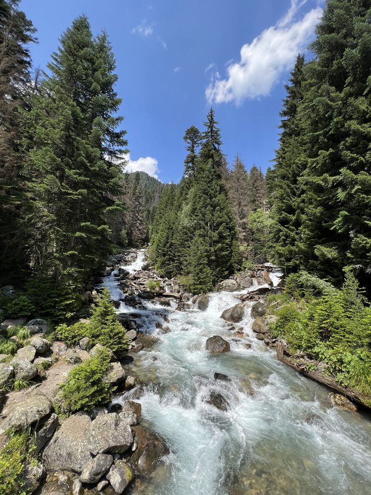 Photograph by Анастасия