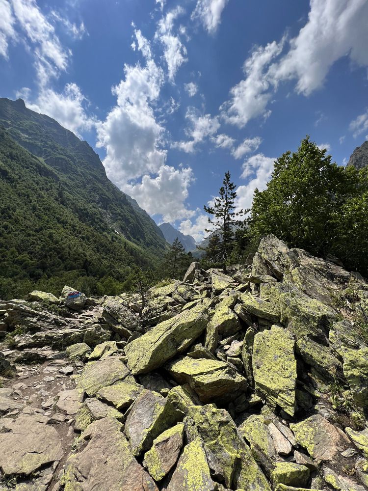 Photograph by Анастасия