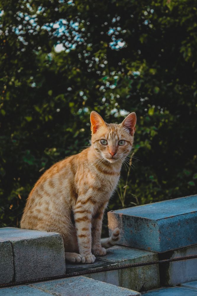 Photograph by Диана Козел