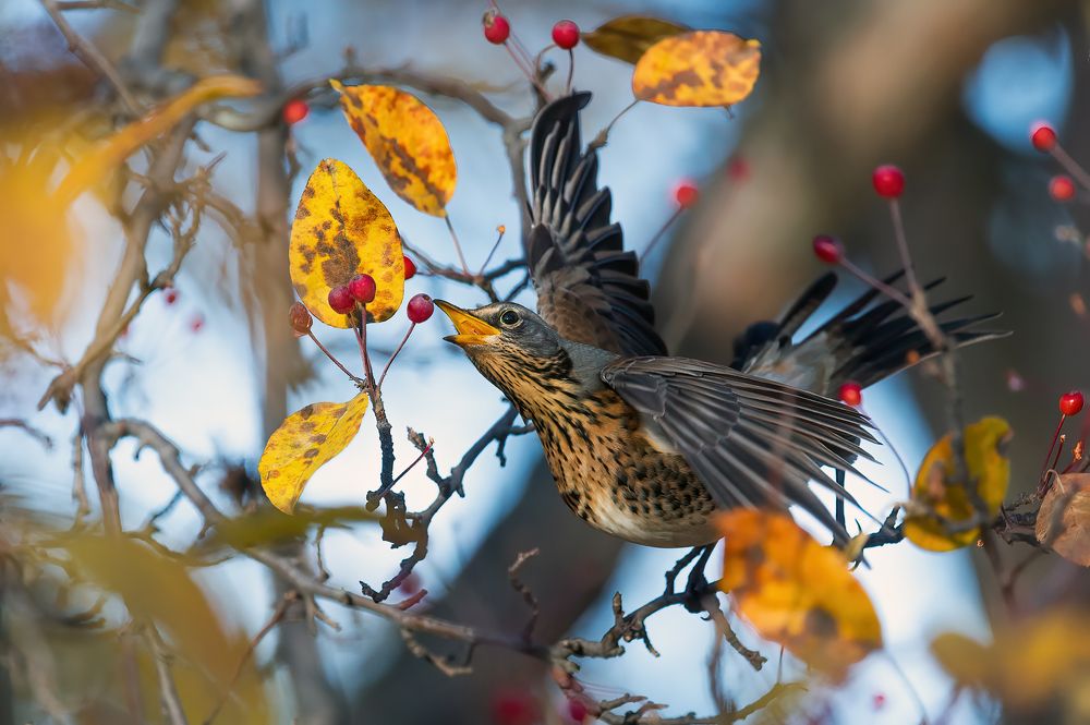 Photograph by Калинин Михаил