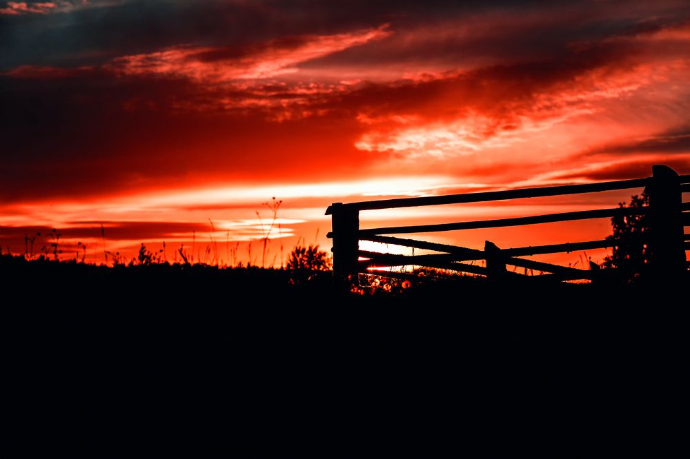 Photograph by Алексей Ромадов