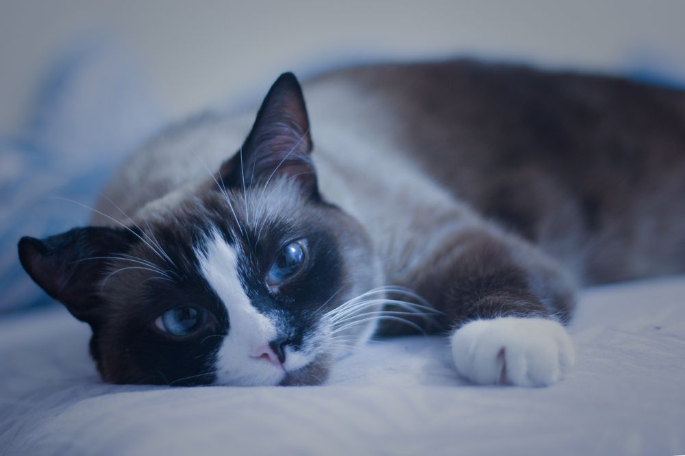 Photograph by Юлия Крюкова