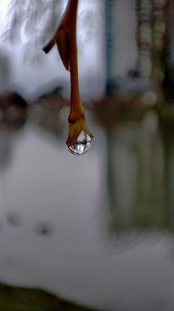 Фотография автора Giorgi chernik